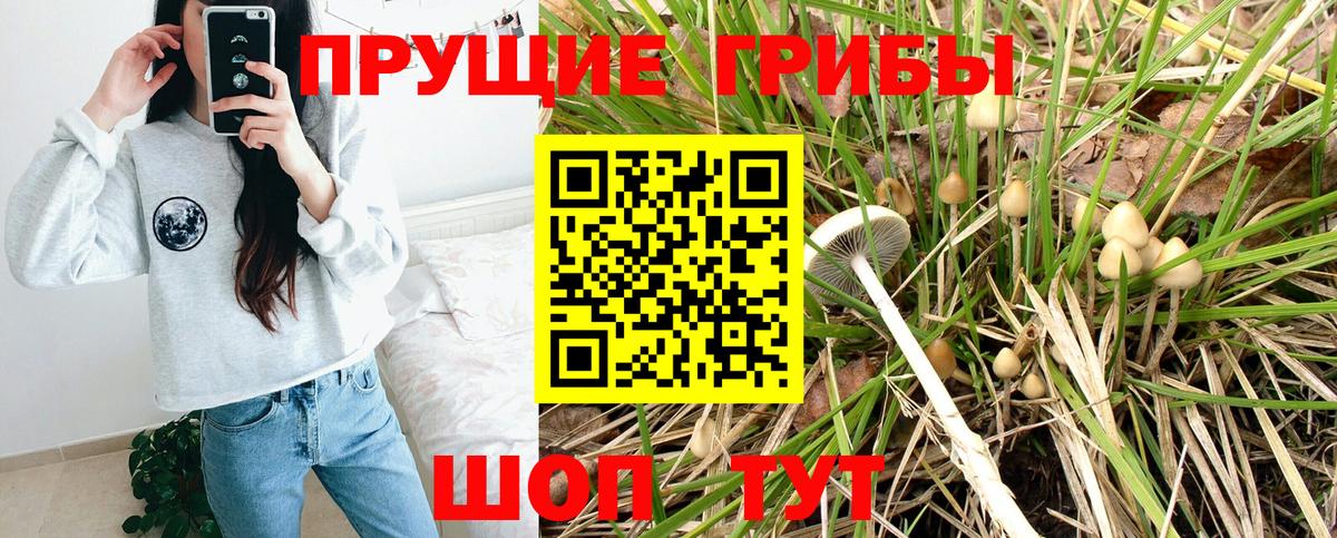 Ступино  Псилоцибиновые грибы Magic Shrooms  Вход с VPN  Псилоцибиновые грибы мухоморы 